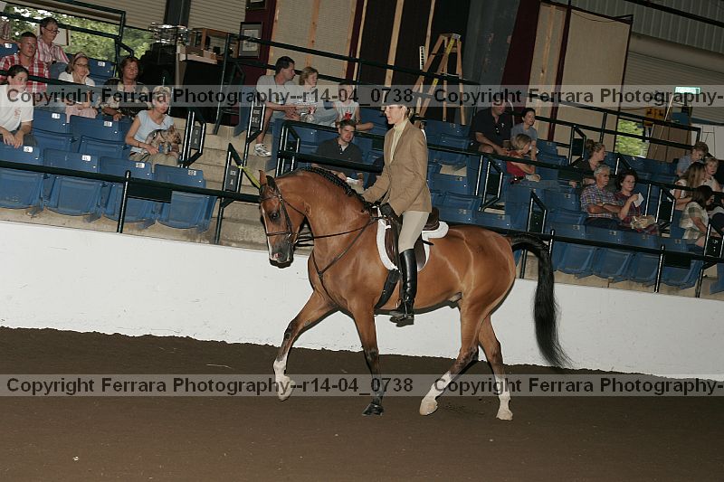 Proof r14-04_0738