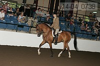r14-04_0738 proof