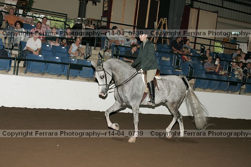 Proof r14-04_0739