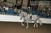 r14-04_0739 proof
