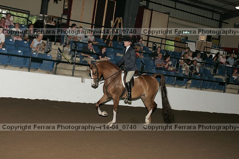 Proof r14-04_0740