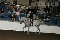 r14-04_0741 proof