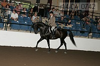 r14-04_0742 proof
