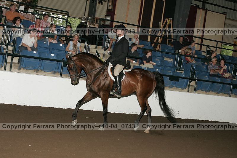 Proof r14-04_0743
