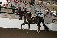 r14-04_0748 proof