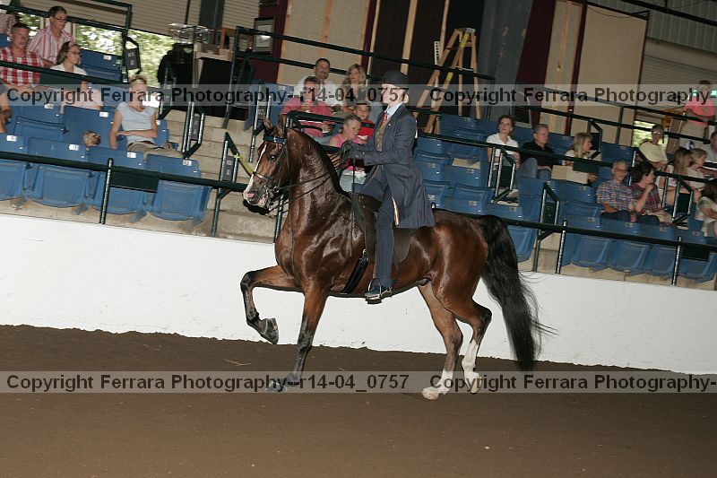 Proof r14-04_0757