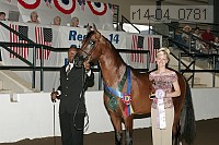 r14-04_0781 proof