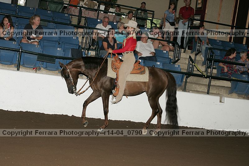 Proof r14-04_0790