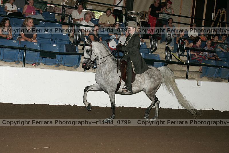 Proof r14-04_0799