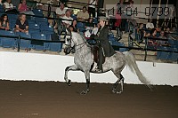 r14-04_0799 proof