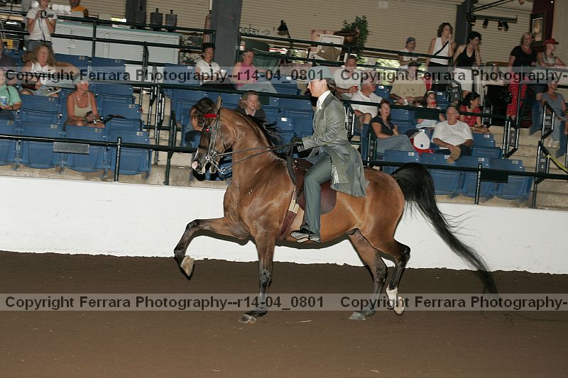 Proof r14-04_0801