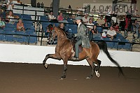 r14-04_0801 proof