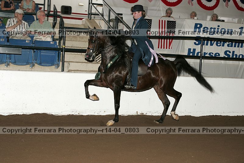 Proof r14-04_0803