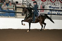 r14-04_0803 proof