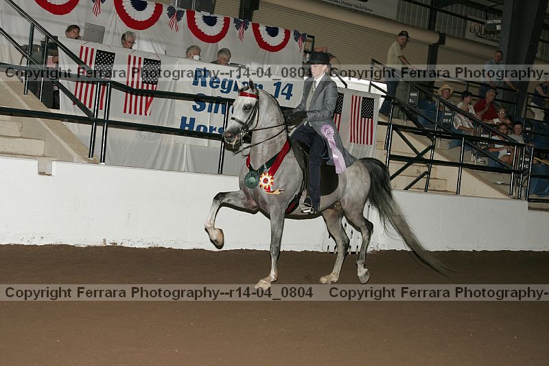 Proof r14-04_0804