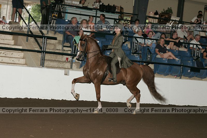 Proof r14-04_0808