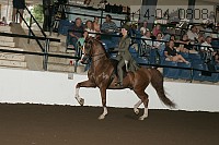 r14-04_0808 proof