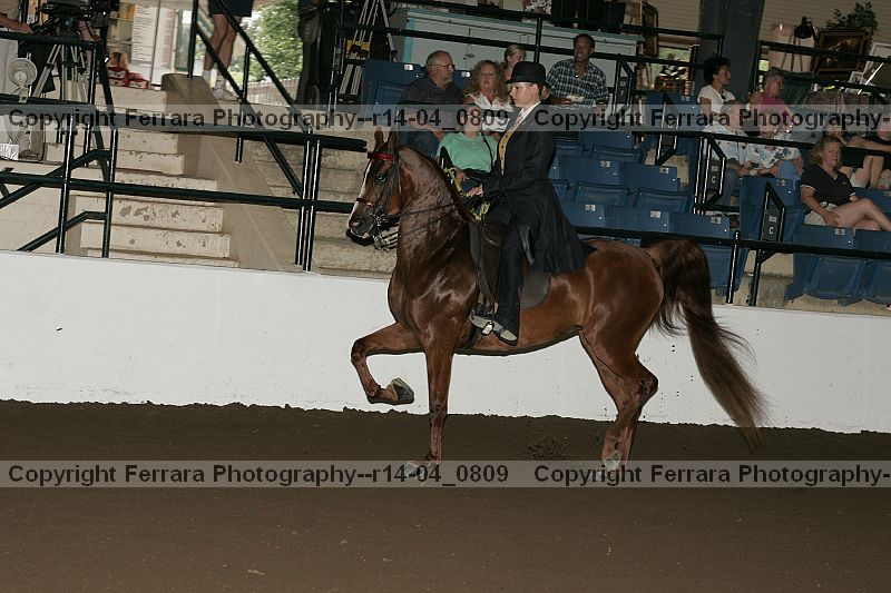 Proof r14-04_0809