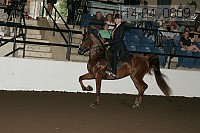 r14-04_0809 proof