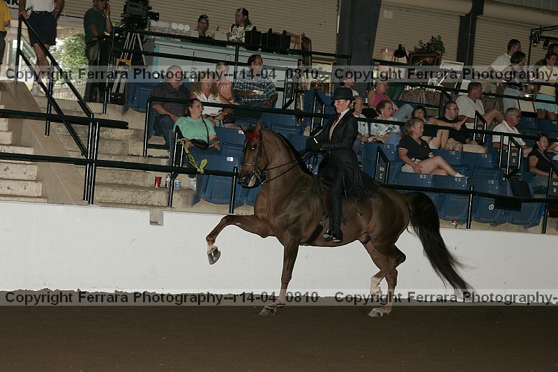 Proof r14-04_0810