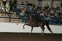 r14-04_0810 proof