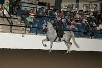 r14-04_0812 proof