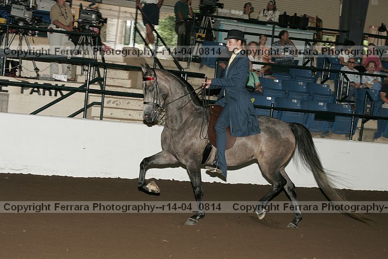 Proof r14-04_0814