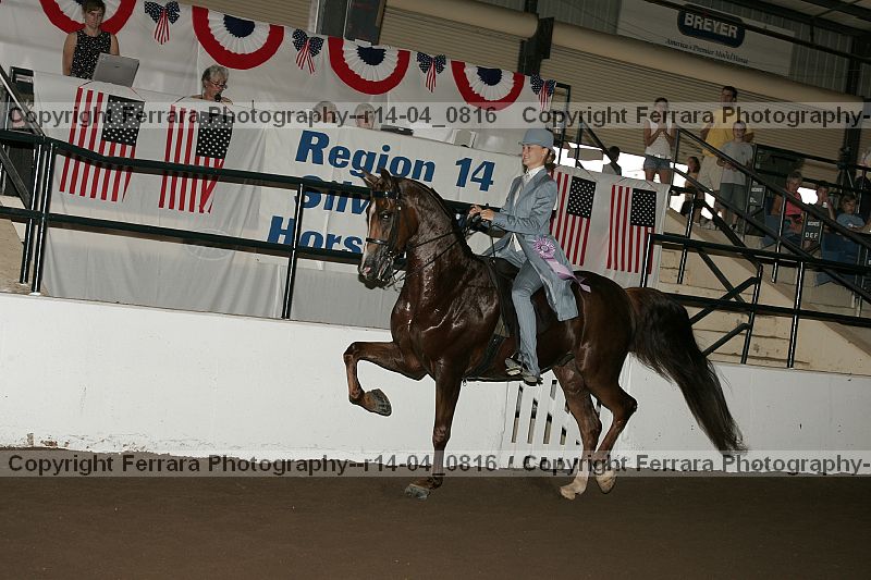 Proof r14-04_0816