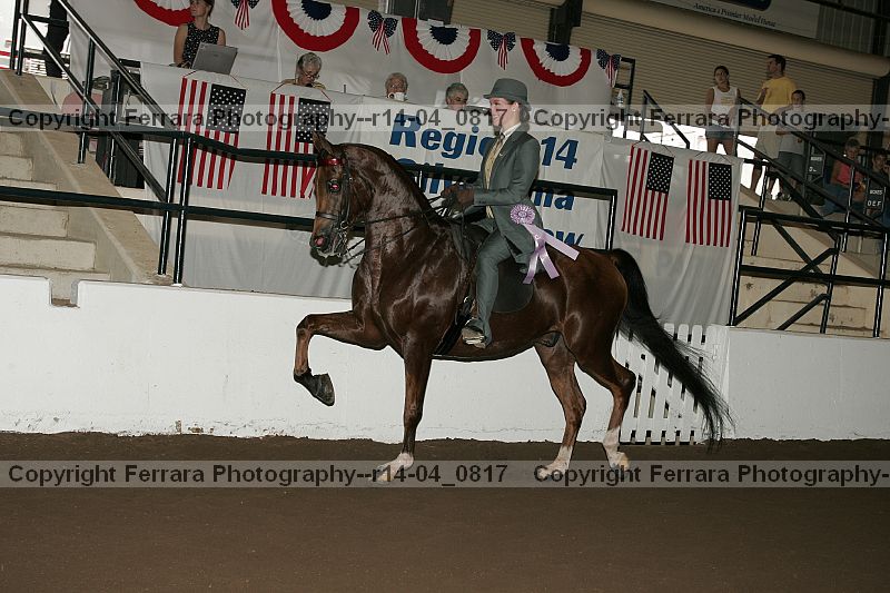 Proof r14-04_0817
