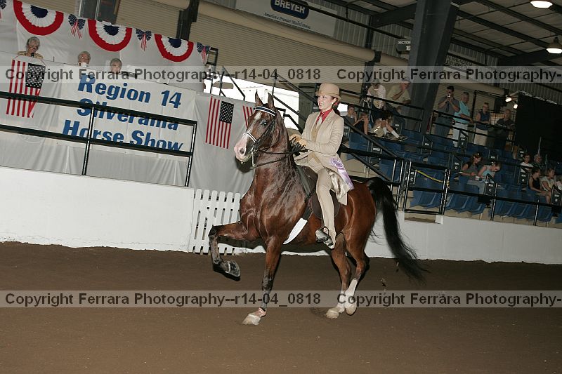 Proof r14-04_0818