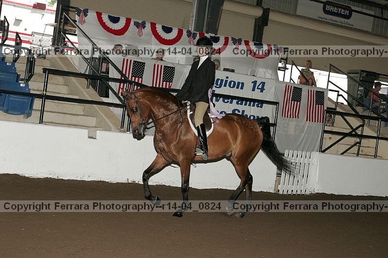 Proof r14-04_0824