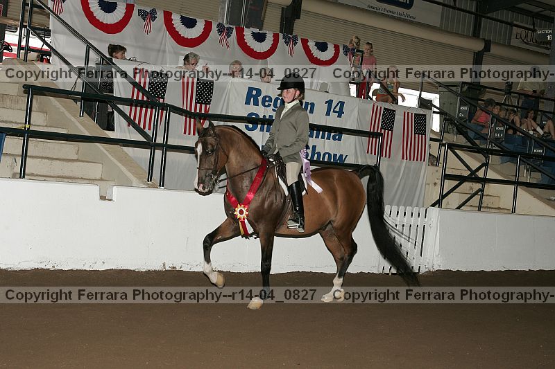 Proof r14-04_0827