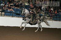r14-04_0833 proof
