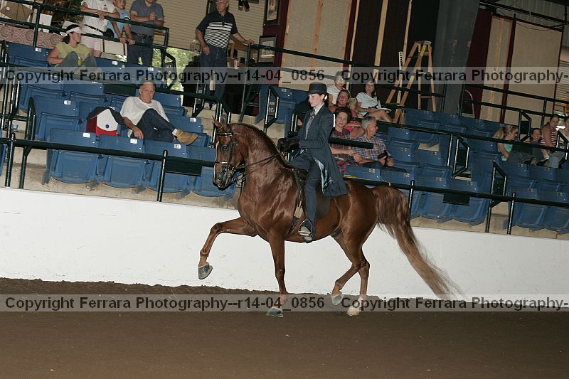 Proof r14-04_0856