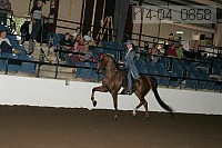 r14-04_0858 proof