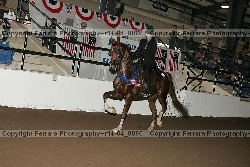 Proof r14-04_0866
