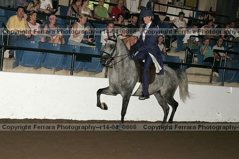Proof r14-04_0868