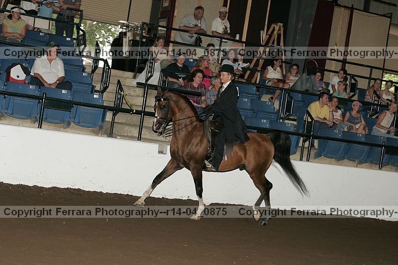 Proof r14-04_0875