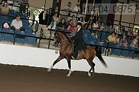 r14-04_0875 proof