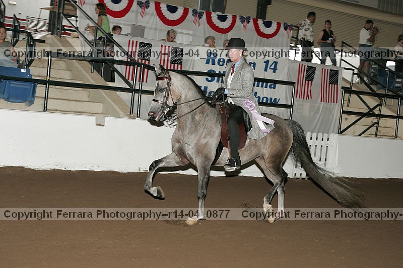Proof r14-04_0877