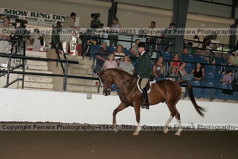 Proof r14-04_0883