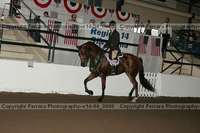 Proof r14-04_0888