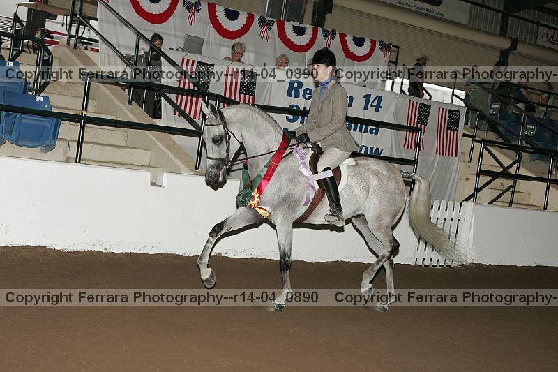 Proof r14-04_0890