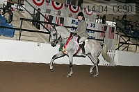 r14-04_0890 proof
