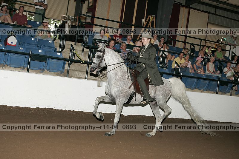 Proof r14-04_0893