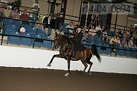 r14-04_0894 proof