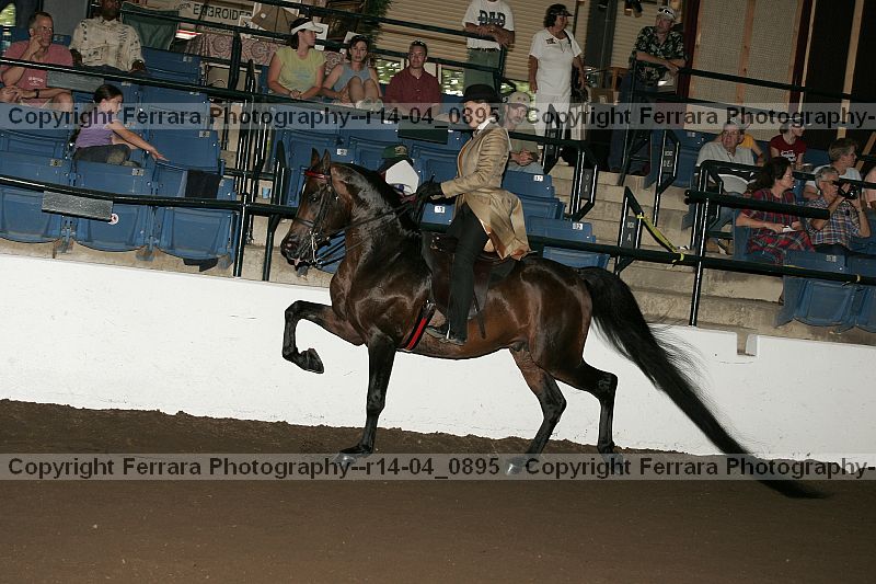 Proof r14-04_0895