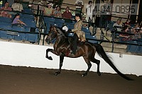 r14-04_0895 proof