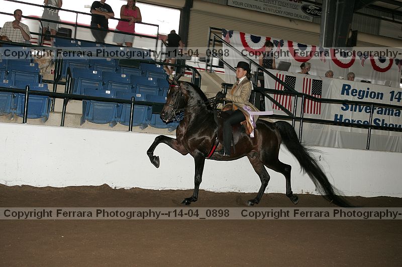 Proof r14-04_0898