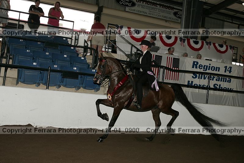Proof r14-04_0900